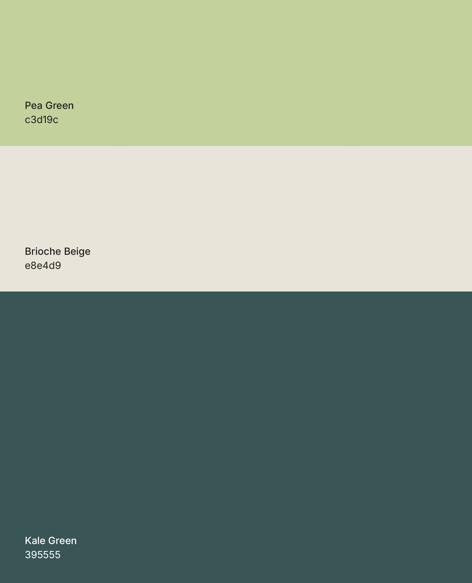 Preview of brand guidelines